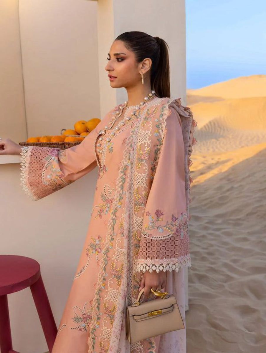 Woman in a peach embroidered outfit standing in a desert setting
